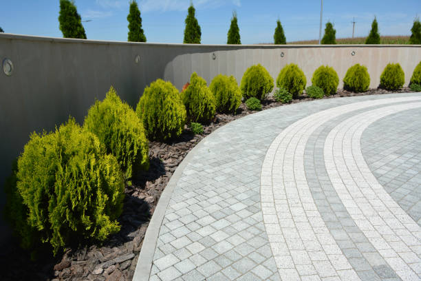 Best Residential Paver Driveway  in Caddo, OK